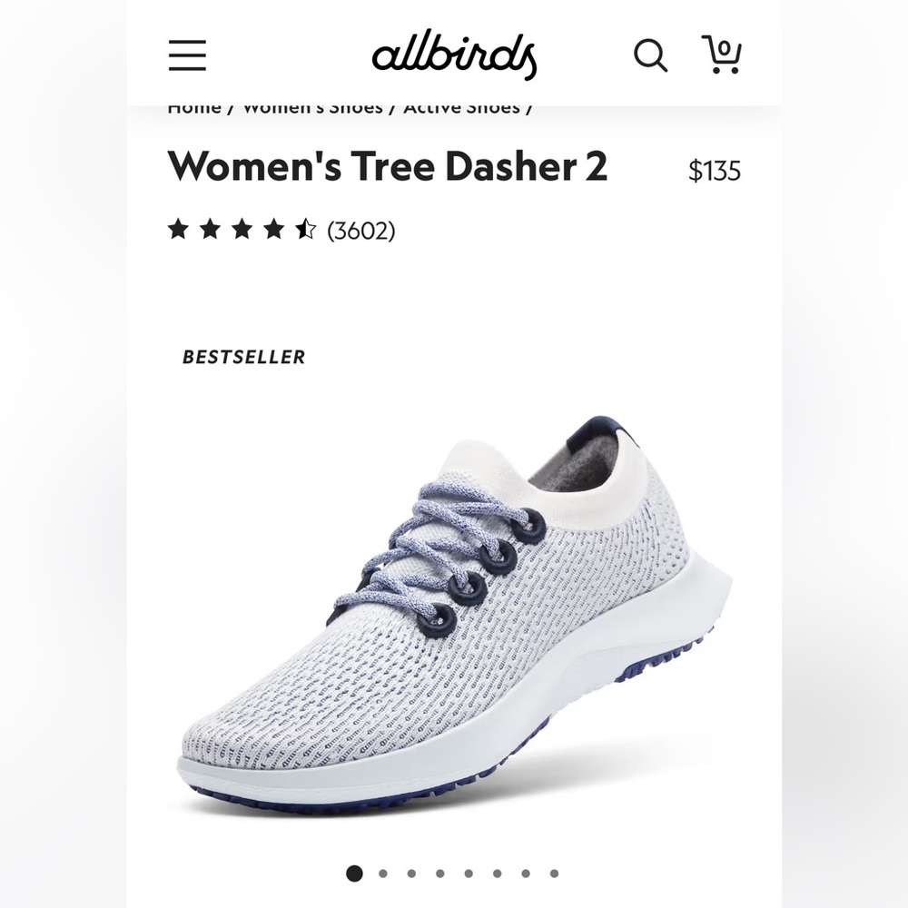 NWT Allbirds Tree Dasher sneaker